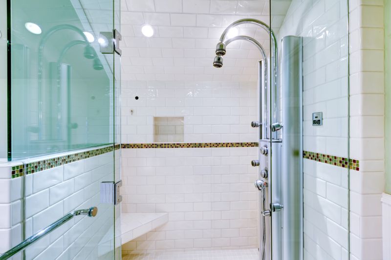 Sleek Shower Remodel