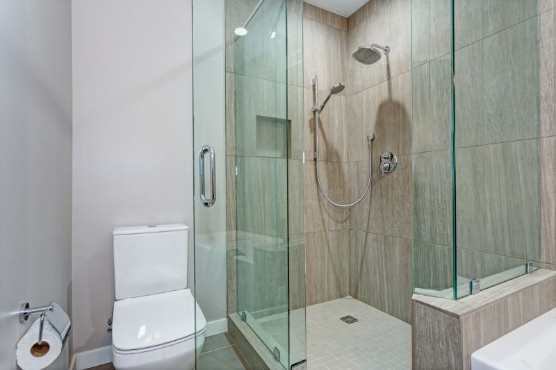 Contemporary Shower Setup